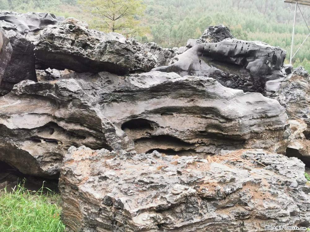 风景石、假山石大量有货,有需要的欢迎联系 - 新手上路 - 常德生活社区 - 常德28生活网 changde.28life.com