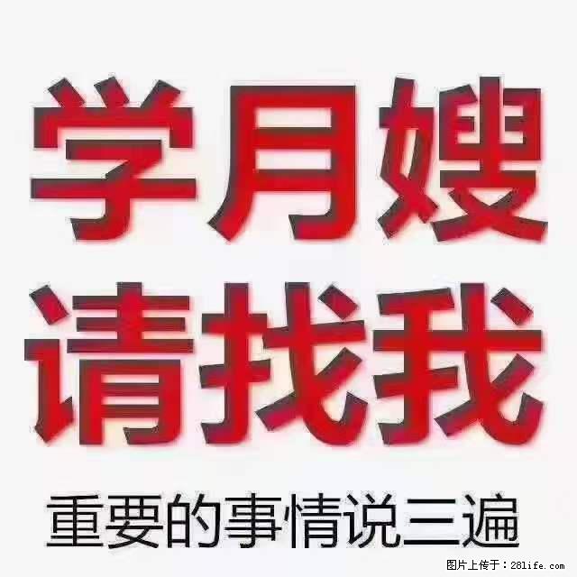 为什么要学习月嫂,育婴师? - 新手上路 - 常德生活社区 - 常德28生活网 changde.28life.com