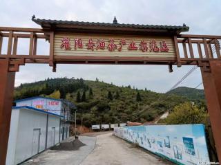 【灌阳县油茶产业示范区】一个有着充实的精神生活的人,对待身外之物自会有一种淡泊的态度 - 常德28生活网 changde.28life.com