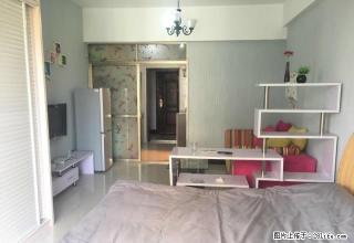 高山街 步行街鸿昌国际 好房出租 照片真实 随时看房 - 常德28生活网 changde.28life.com