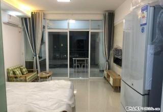 东晟文化公馆 老西门 梅尼广场附近 精装一室 家电齐全 干净 - 常德28生活网 changde.28life.com