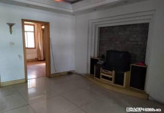 高山街不夜城新亚国际鸿鑫桃林旁精装四房可办公合租员工宿舍出租 - 常德28生活网 changde.28life.com