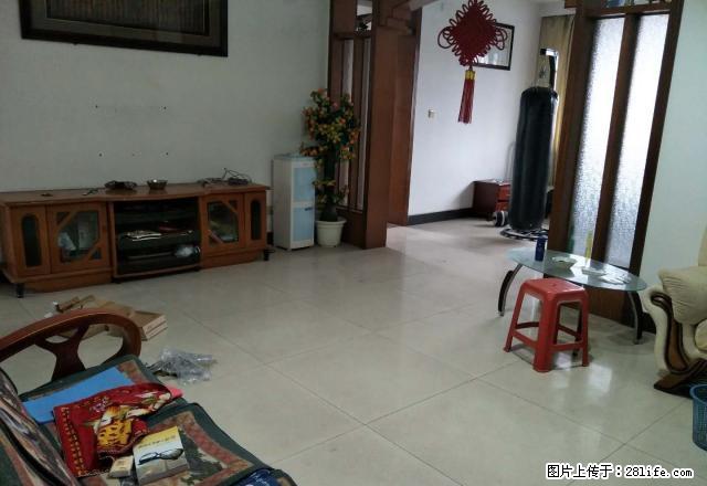 急急急 九澧实验学校 多安桥 黄瓜大乡 停车方便拎包入住 - 房屋出租 - 房屋租售 - 常德分类信息 - 常德28生活网 changde.28life.com