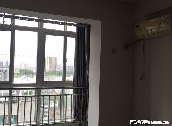 高山街 水星楼 政务中心 城市公馆 精装一房 家电齐全 - 房屋出租 - 房屋租售 - 常德分类信息 - 常德28生活网 changde.28life.com