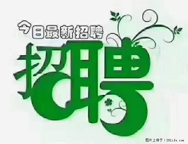 上海青浦区招仓管 - 职场交流 - 常德生活社区 - 常德28生活网 changde.28life.com
