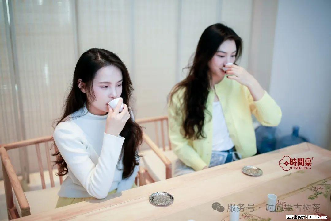 时间果百年古树龙珠普洱生茶 - 购物交流 - 常德生活社区 - 常德28生活网 changde.28life.com