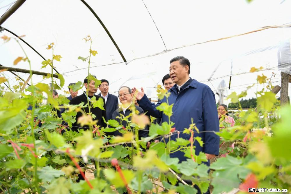 习近平赴广西考察调研 - 常德生活资讯 - 常德28生活网 changde.28life.com
