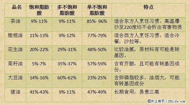 揭秘茶油的5大核心营养成分!被称为人体健康的“守护盾”! - 常德生活资讯 - 常德28生活网 changde.28life.com