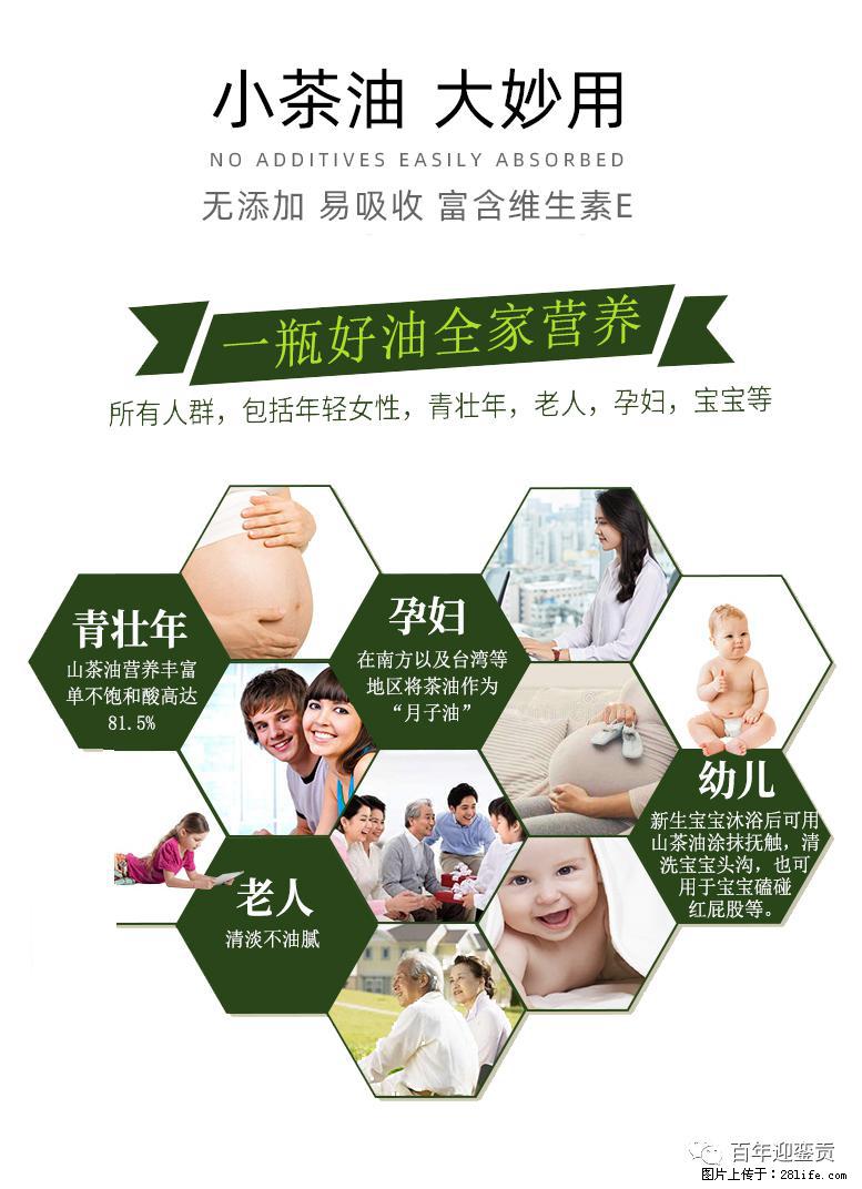 世界没有真相,只有认知,最好的食用油是中国的山茶油! - 常德生活资讯 - 常德28生活网 changde.28life.com
