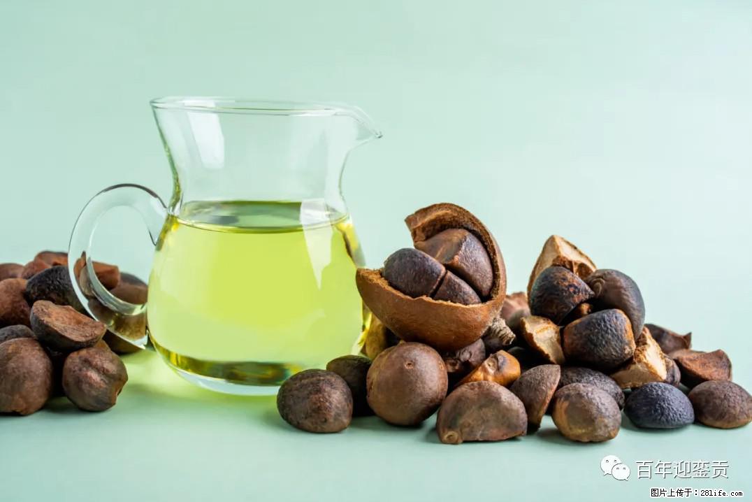 世界没有真相，只有认知，最好的食用油是中国的山茶油！ - 常德生活资讯 - 常德28生活网 changde.28life.com