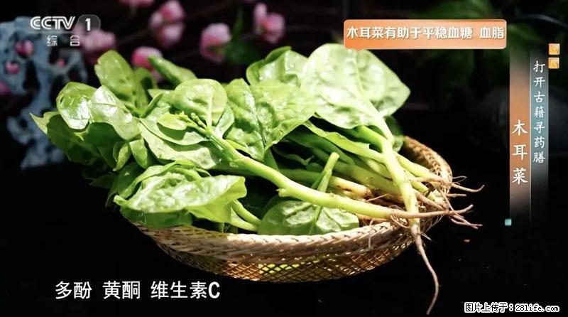 比牛奶补钙还厉害!凉血解毒、稳血糖...这菜冬天必吃,很多人却当草 - 常德生活资讯 - 常德28生活网 changde.28life.com