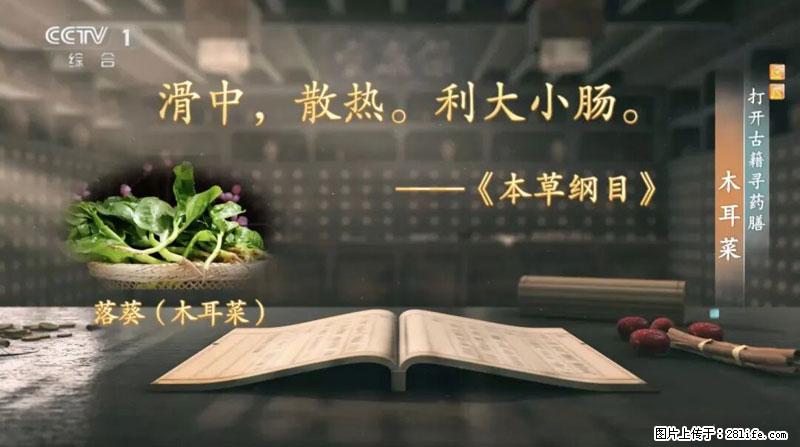 比牛奶补钙还厉害!凉血解毒、稳血糖...这菜冬天必吃,很多人却当草 - 常德生活资讯 - 常德28生活网 changde.28life.com