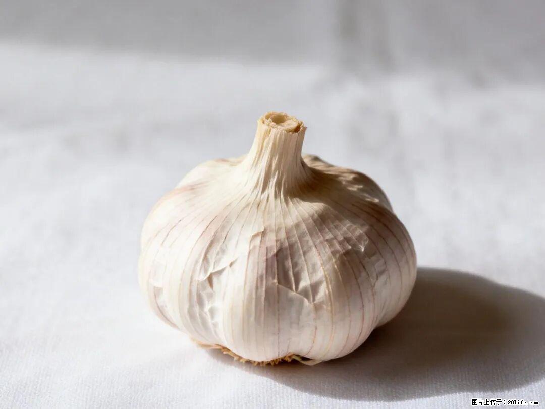 关于大蒜，除了“天然抗生素”，这4个谣言更该警惕! - 常德生活资讯 - 常德28生活网 changde.28life.com