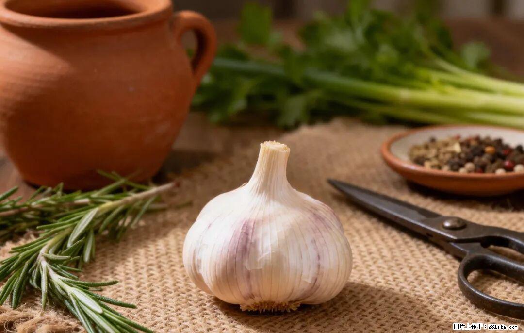 关于大蒜，除了“天然抗生素”，这4个谣言更该警惕! - 常德生活资讯 - 常德28生活网 changde.28life.com