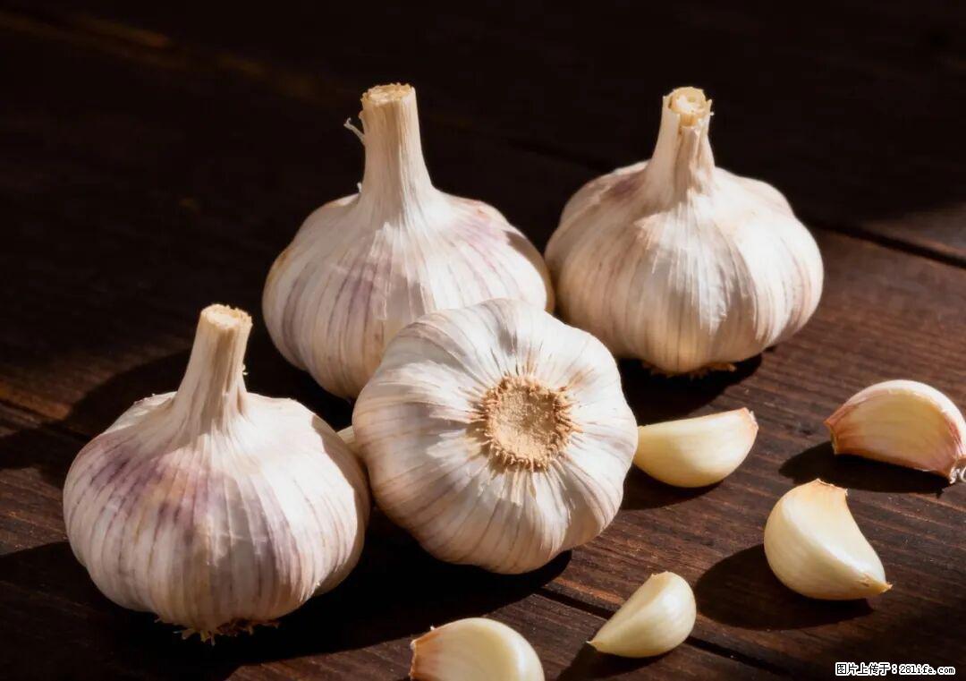 关于大蒜，除了“天然抗生素”，这4个谣言更该警惕! - 常德生活资讯 - 常德28生活网 changde.28life.com