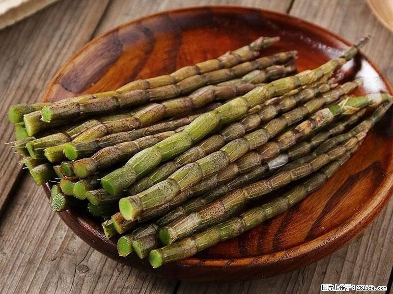 铁皮石斛的作用与功能主治 - 常德生活资讯 - 常德28生活网 changde.28life.com