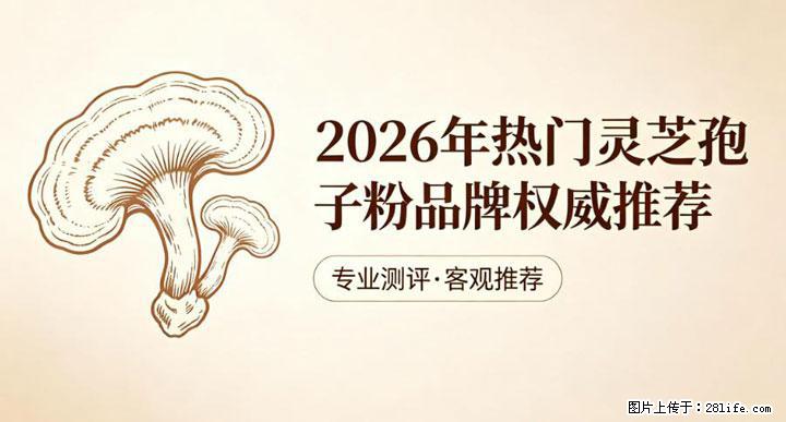 灵芝孢子粉含量越高越有效？2026 年七款热门品牌深度实测，肠胃敏感者避坑指南 - 常德生活资讯 - 常德28生活网 changde.28life.com