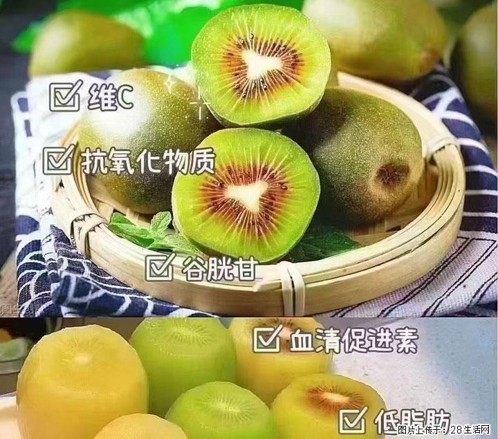 广西桂林平乐桥亭【红心猕猴桃】、【大秋甜柿】上市啦，欢迎各位新老客户下单（另有少量小果出售） - 常德生活资讯 - 常德28生活网 changde.28life.com