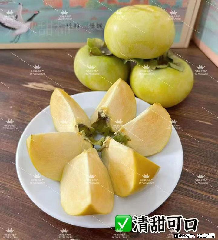 广西桂林平乐桥亭【红心猕猴桃】、【大秋甜柿】上市啦，欢迎各位新老客户下单（另有少量小果出售） - 常德生活资讯 - 常德28生活网 changde.28life.com